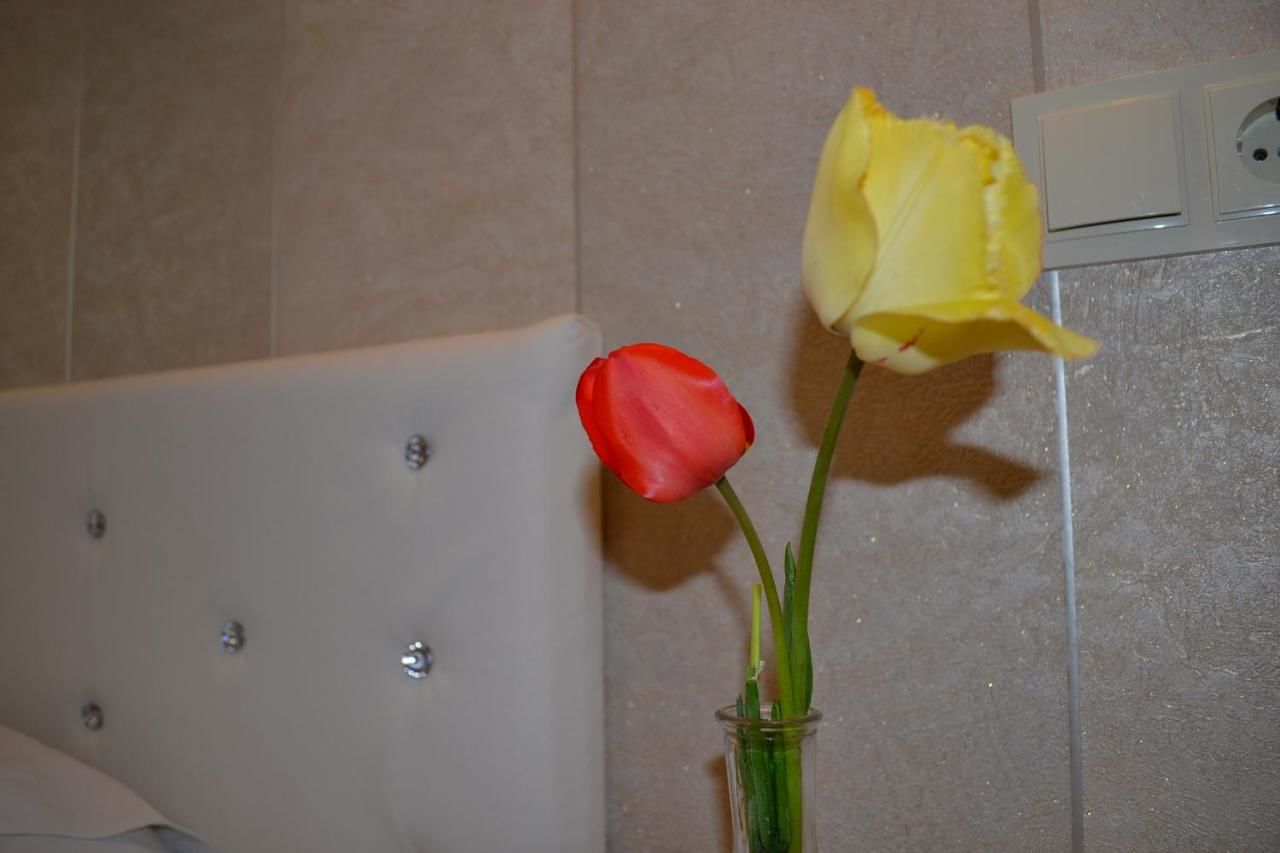 Гостевой дом Guest House Vertigo Мцхета